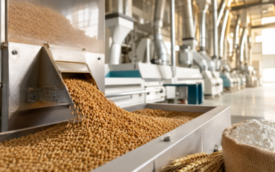 From Wheat to Flour: Understanding the Flour Milling Process at Ali Shuja Flour Mills